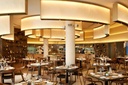 Neva chair - big restaurant